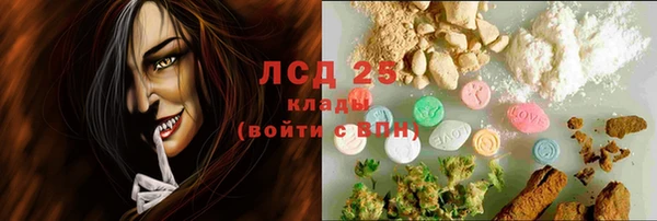 гашиш Богданович