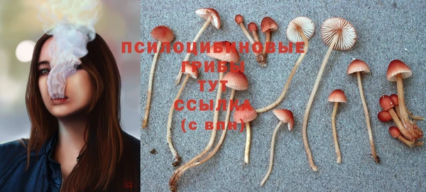 гашиш Богданович