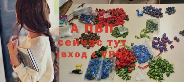 гашиш Богданович
