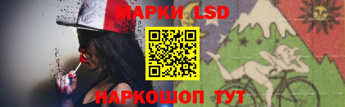 ГАШ Гатчина