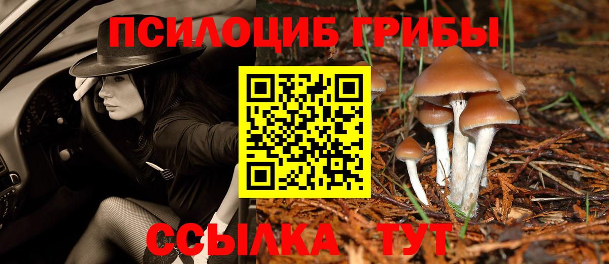 Галлюциногенные грибы Psilocybine cubensis  Вход с VPN  Гатчина  Псилоцибиновые грибы Psilocybe 