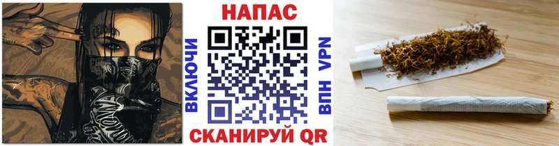 хочу наркоту  Гатчина  Канабис индика 